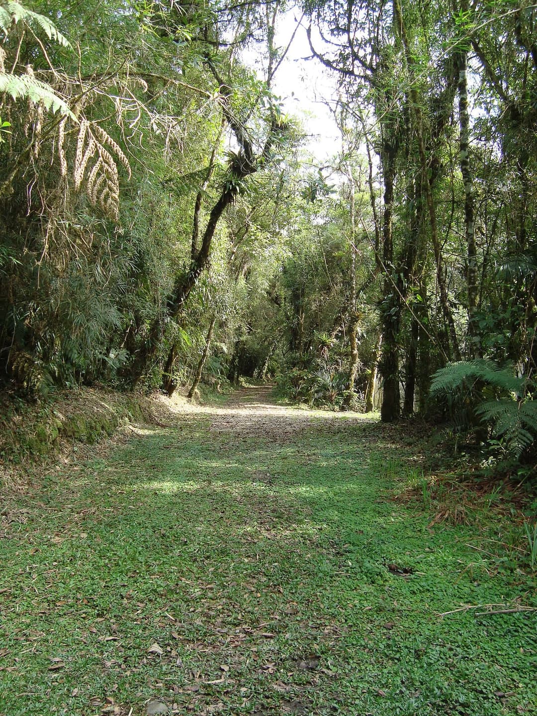 Trilha do Castelo dos Bugres